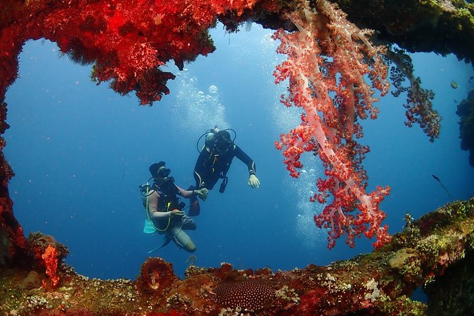 Bali Diving for Beginners: Tulamben Liberty Wreck - Getting there without stress: transfers from Amed and Tulamben