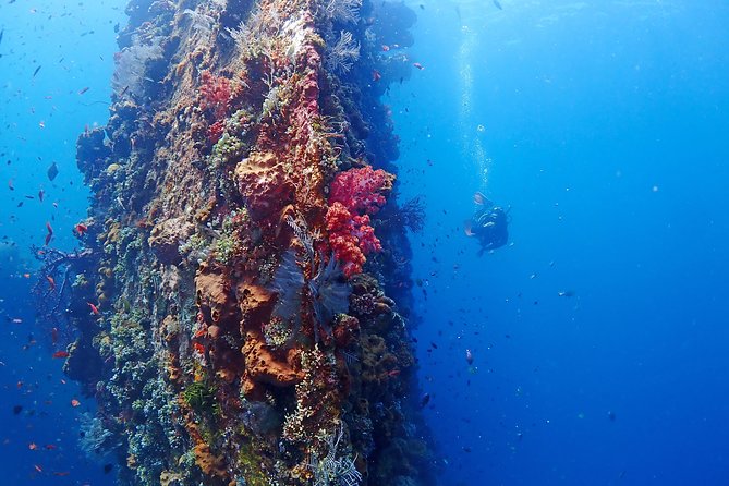 Bali Diving for Beginners: Tulamben Liberty Wreck - What’s included (so you’re not surprised)