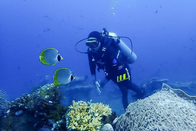 Bali Full Day Experience Scuba Diving Tour at Tulamben - Gear, porter help, and the centre facilities you’ll appreciate