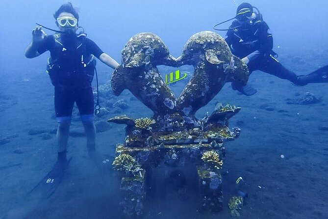 Bali Full Day Experience Scuba Diving Tour at Tulamben - Stop one: coral garden or wall coral before lunch