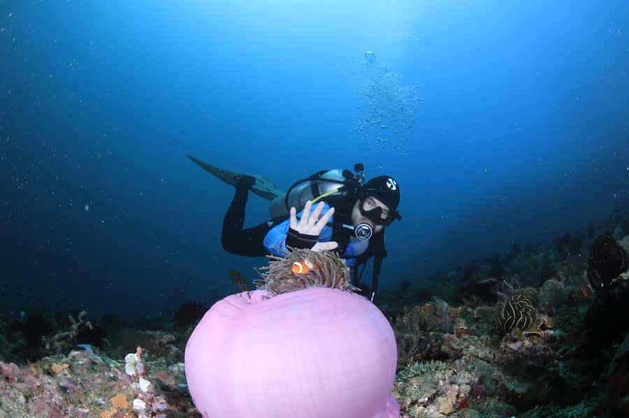 Bali/Nusa Penida: 3 Fun Dives to Manta Point, Mola & Reef - SD Point plus a Secret Lunch Stop: how the back half holds up