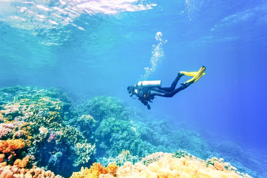 Bali: Padangbai Blue Lagoon Beginner's Dive Experience - The Underwater Classroom: How You Learn to Stay Calm