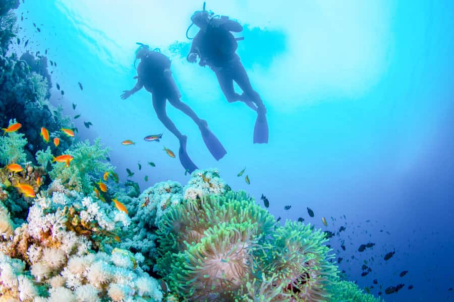 Bali: Padangbai Blue Lagoon Beginner's Dive Experience - From Your Hotel to Blue Lagoon: Pickup and the Jukung Ride