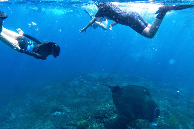 Bali Scuba Diving at Nusa Penida Manta Point For Certified Diver - Gear, insurance, and the health questionnaire you’ll complete first