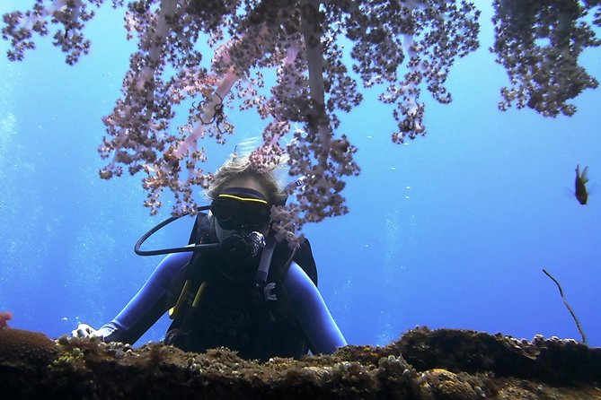 Bali Scuba Diving trip at Tulamben for Certified Diver - USS Liberty In Tulamben: Why This Wreck Still Pulls People In