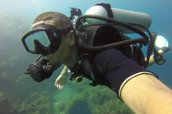 Bali Scuba Diving trip at Tulamben for Certified Diver - Marine Life at the USS Liberty: What to Look For