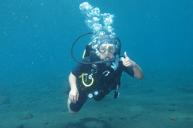 Bali Scuba Diving trip at Tulamben for Certified Diver - Who This Is Best For (and Who Might Want Another Option)
