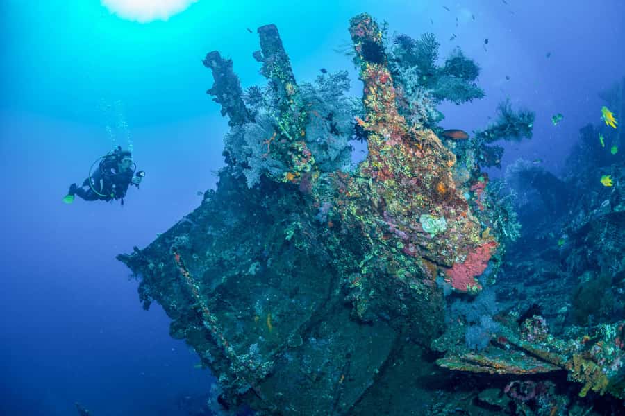 Bali: Tulamben Bay and the USAT Liberty Wreck Dive - Beyond the wreck: coral, fish, and the local reef reputation
