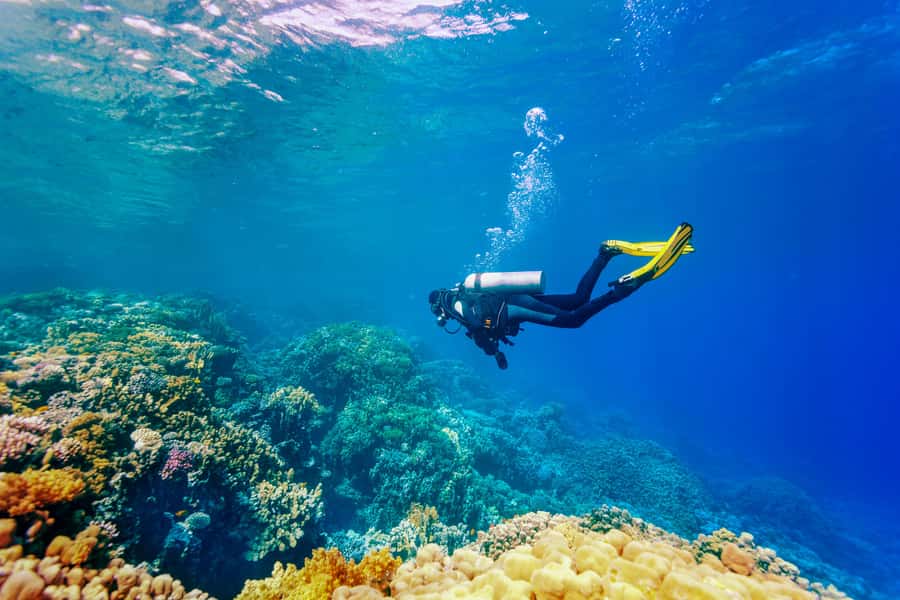 Bali: Tulamben Bay Beginner's Dive Experience - Key things that make this beginner scuba day worth it