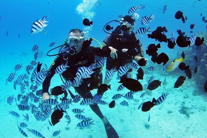 Baptism diving in the turquoise waters of Tahiti - Key highlights I’d bookmark before you go
