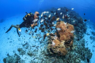 Baptism diving in the turquoise waters of Tahiti - What the 2:00 pm plan feels like in real life