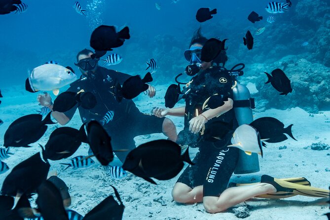 Baptism diving in the turquoise waters of Tahiti - Equipment and safety: what “modern and maintained” really means for you
