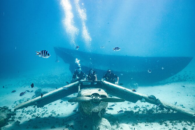 Baptism diving in the turquoise waters of Tahiti - Price and value: $157.90 for a controlled first experience