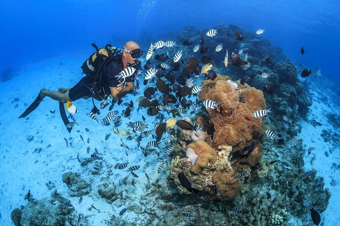 Baptism diving in the turquoise waters of Tahiti - What the 2:00 pm plan feels like in real life