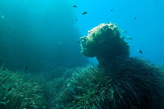 Baptism of diving from boat - The Briefing: The Part That Makes the Underwater Time Better