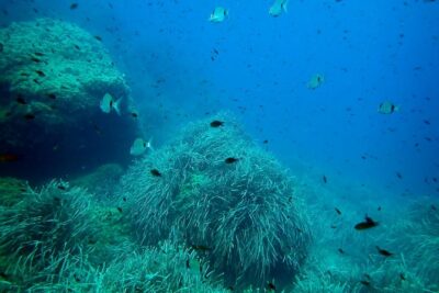 Baptism of diving from boat - Where You Meet and How to Get Ready Without Stress