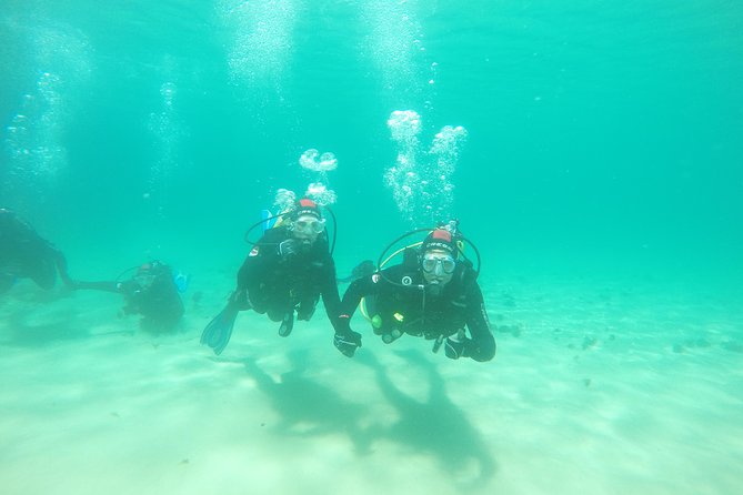 Baptism of diving in the Natural Park of the Strait - Tarifa meeting point and what the start feels like