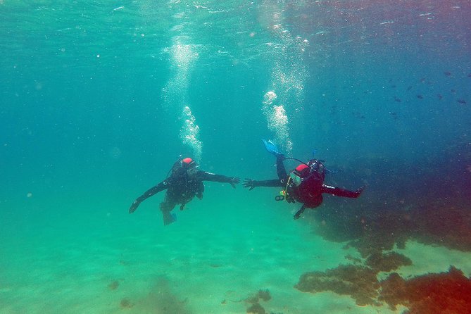 Baptism of diving in the Natural Park of the Strait - Photos in digital format: bringing home proof