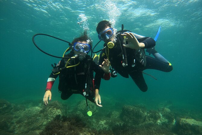 "Baptism of the Sea: Diving on the Island of Elba" - Key highlights (quick facts before you go)