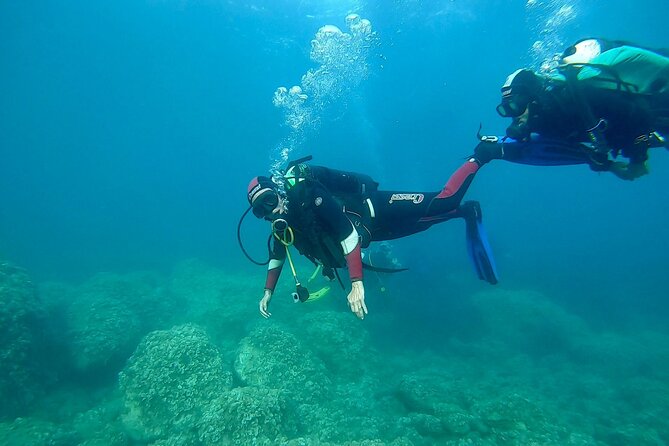 "Baptism of the Sea: Diving on the Island of Elba" - The 3:00 pm timing: why your ferry plan can make or break the day