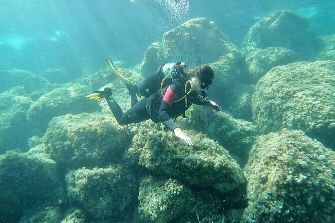 "Baptism of the Sea: Diving on the Island of Elba" - Meeting in Cavo: the Via A. de Gasperi address and 3:00 pm start