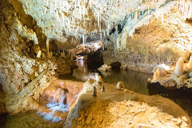 Barbados Harrison's Cave and Atlantis Submarine Dive Tour - Harrison’s Cave Eco-Adventure Park: what the guided tram tour feels like