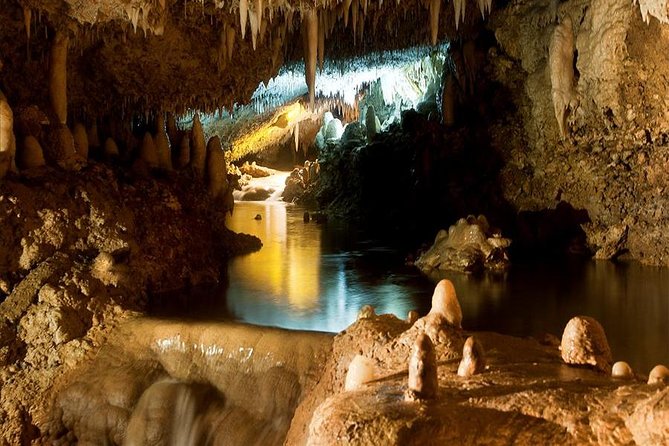 Barbados Harrison's Cave and Atlantis Submarine Dive Tour - Atlantis Submarines in Barbados: see sea life and a shipwreck without getting wet
