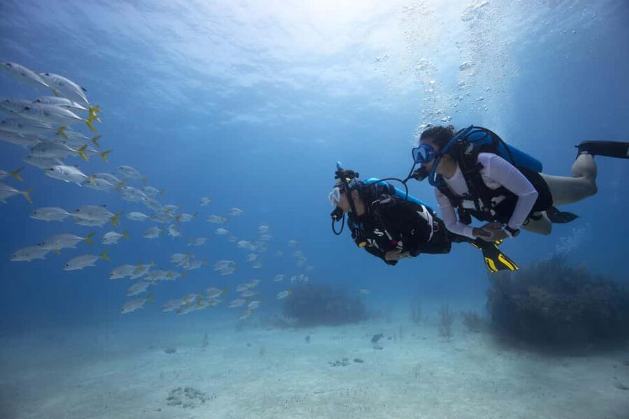 BARCELONA: SCUBA DIVING INITIATION - Dive in and experience underwater adventures - 2 hours - Key Reasons This Scuba Intro Works So Well