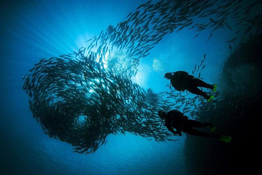 BARCELONA: SCUBA DIVING INITIATION - Dive in and experience underwater adventures - 2 hours - A First Scuba Session Right From Barcelona’s Shoreline