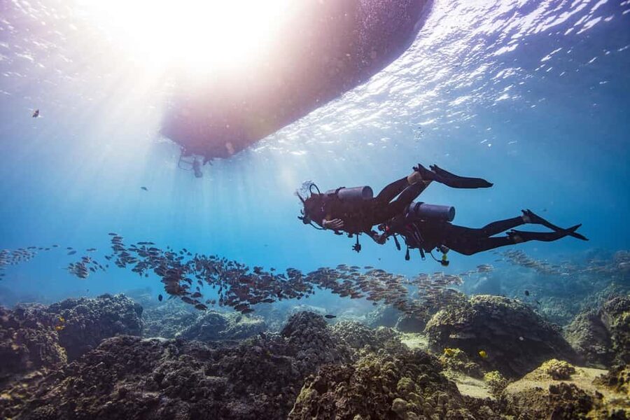 BARCELONA: SCUBA DIVING INITIATION - Dive in and experience underwater adventures - 2 hours - Safety Briefing and Gear Check: Where Nerves Get Managed