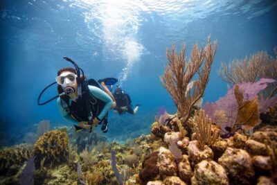 BARCELONA: SCUBA DIVING INITIATION - Dive in and experience underwater adventures - 2 hours - Barcelona Diving Club at Olympic Port: Getting There Without Stress