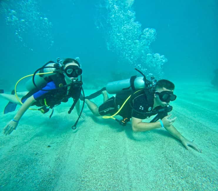 Bávaro: Scuba Diving Experience for Beginners - Getting to the Site: How the 20-Minute Van Ride Fits In