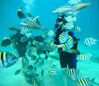 Bávaro: Scuba Diving Experience for Beginners - The Two Hours of Guided Prep That Makes or Breaks Comfort