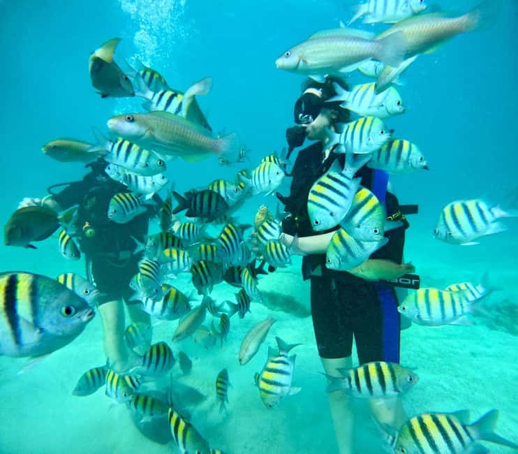 Bávaro: Scuba Diving Experience for Beginners - The Two Hours of Guided Prep That Makes or Breaks Comfort
