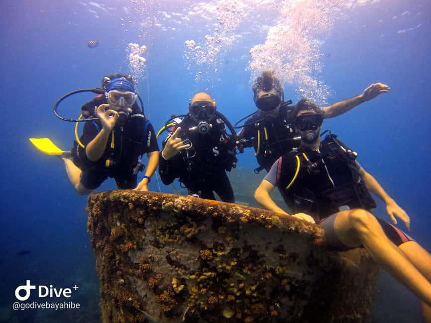 Bayahibe: Scuba Diving Initiation by Go Dive Bayahibe - Price and Time: What $80 Buys You in Real Terms