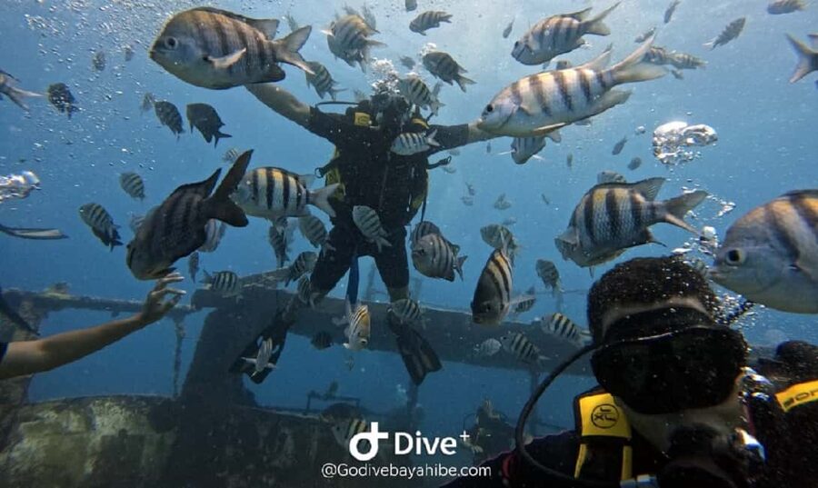 Bayahibe: Scuba Diving Initiation by Go Dive Bayahibe - Safety, Coaching, and Why Small Groups Matter