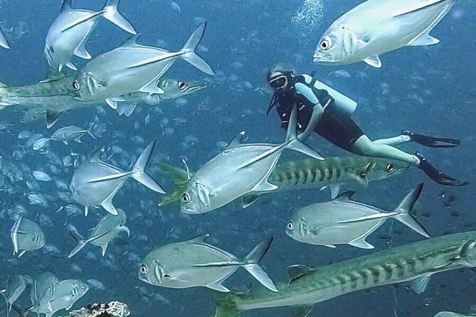 Become certified diver in 3 days - PADI Open Water Diver course on Koh Tao - Logistics in Mae Haad: timing, meetings, and keeping stress low