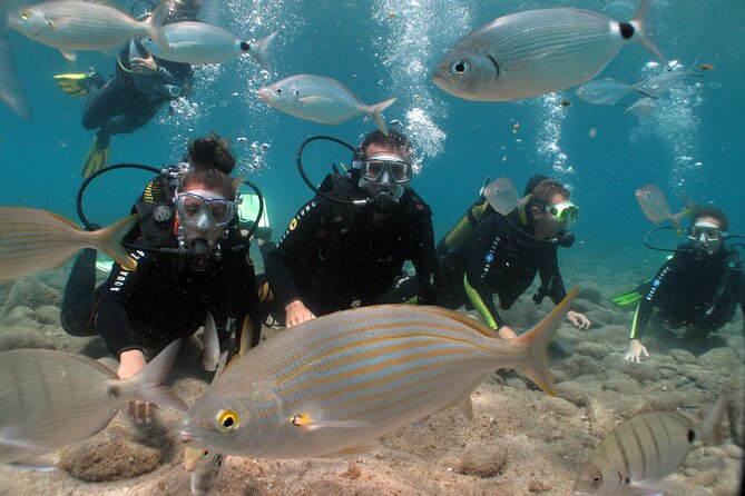 Beginner dive from Playa Chica with Instructor - Shallow skills first: why it’s worth your attention