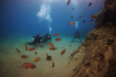 Beginner dive from Playa Chica with Instructor - The 2-hour timeline, step by step