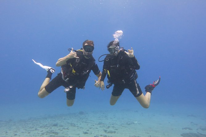 Beginner Scuba Dive in Lahaina: Swimming Required - What to Bring (and What to Plan for on Maui)