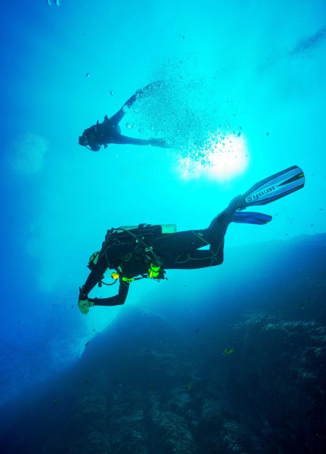 Beginner Scuba Dive with Scubapoint Tenerife in Turtle Area - Key Things That Make This Tenerife Scuba Trial Worth It