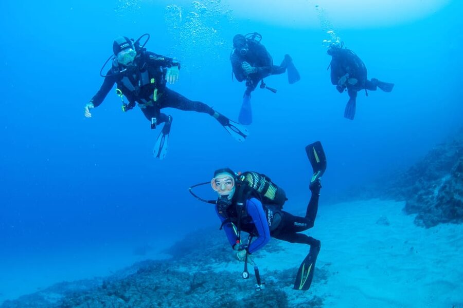 Beginner Scuba Dive with Scubapoint Tenerife in Turtle Area - Beginner Scuba in Tenerife’s Turtle Area: What You’re Really Signing Up For