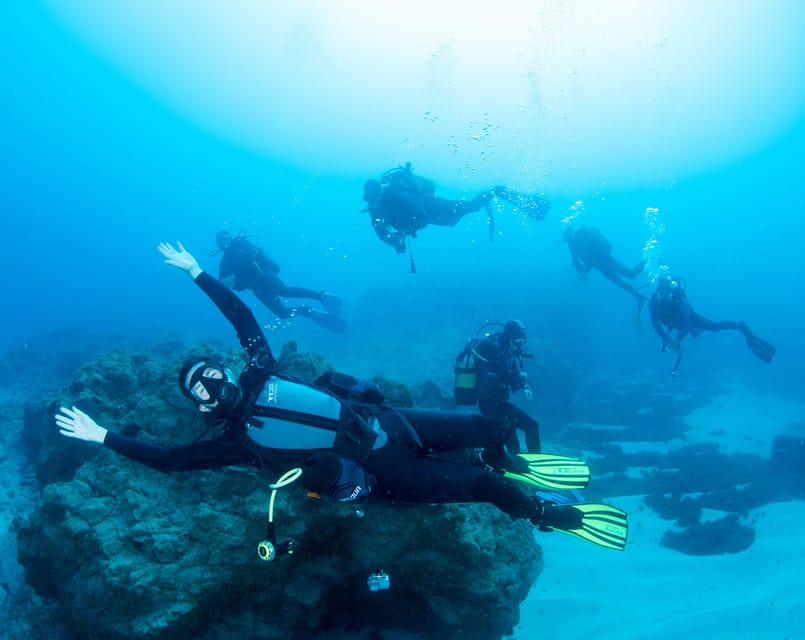 Beginner Scuba Dive with Scubapoint Tenerife in Turtle Area - Equipment and Instructor Support: Why This Trial Feels Professional