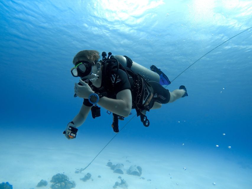 Beginner Scuba Dive with Scubapoint Tenerife in Turtle Area - The Boat Trip: Short, Simple, and Part of the Experience