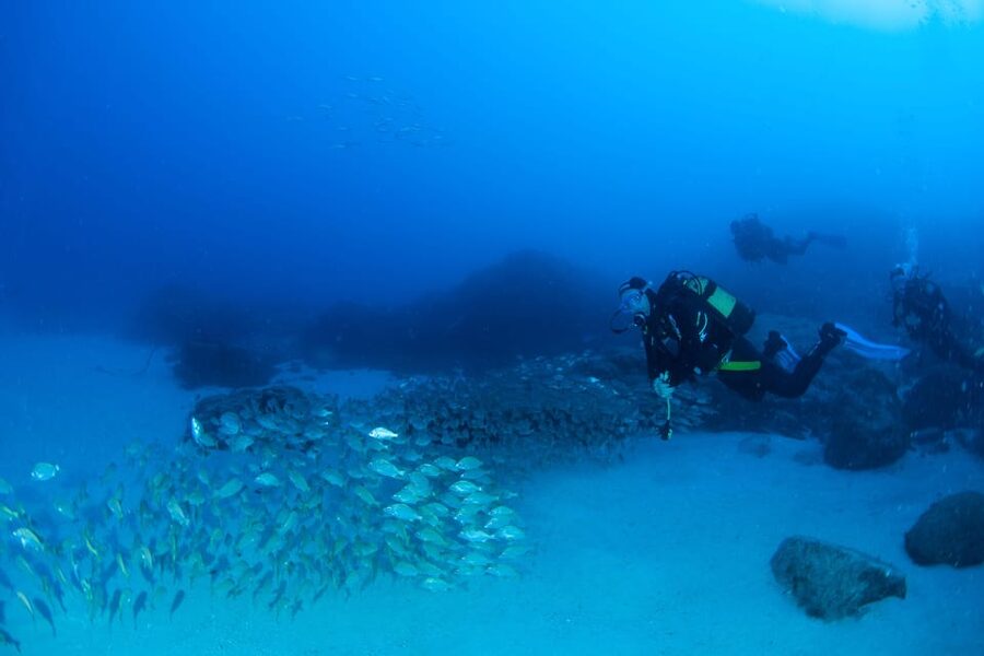 Beginner Scuba Dive with Scubapoint Tenerife in Turtle Area - Who Should Book This (and Who Should Think Twice)