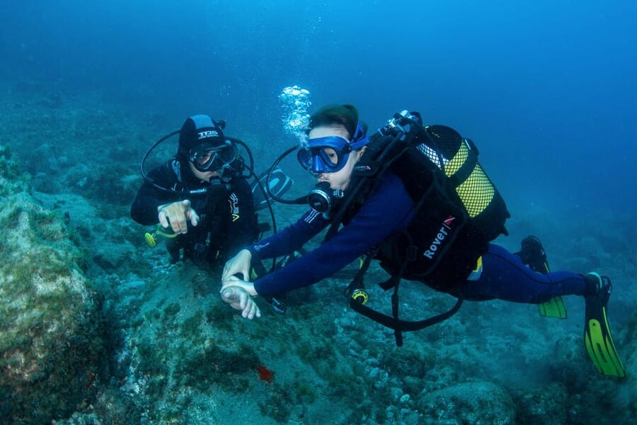 Beginner Scuba Dive with Scubapoint Tenerife in Turtle Area - Getting Ready at Puerto Colón: The Land Part That Makes or Breaks Comfort