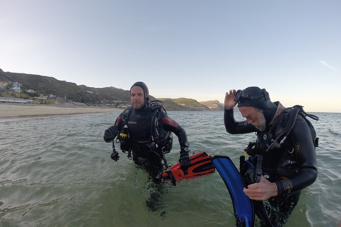 Beginner Scuba Diving Experience in Simonstown. - Key Highlights You’ll Feel Right Away
