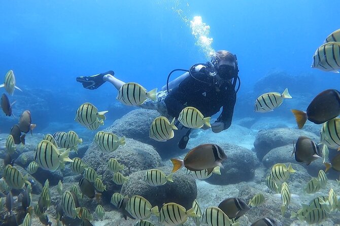Beginner Scuba Diving Experience with Video Package in Honolulu - Kyle’s setup: safety briefing, gear fitting, and shallow-water practice