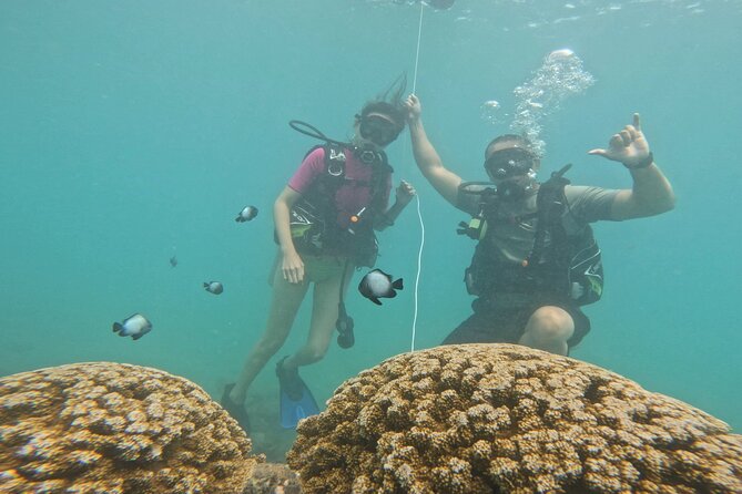 Beginner Scuba Diving Experience with Video Package in Honolulu - Price and value: why $77 feels fair for a beginner session