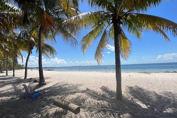 Beginner Scuba Diving Experience With Videos in West Palm Beach - Key Highlights You’ll Care About